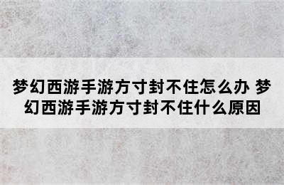 梦幻西游手游方寸封不住怎么办 梦幻西游手游方寸封不住什么原因